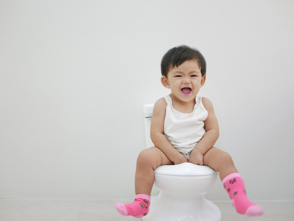 potty-training-tips image