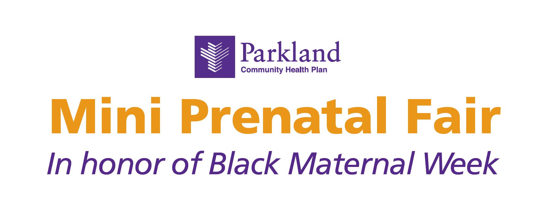 Mini Prenatal Fair